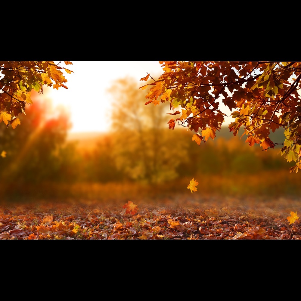 Meet your Posher, Brittney